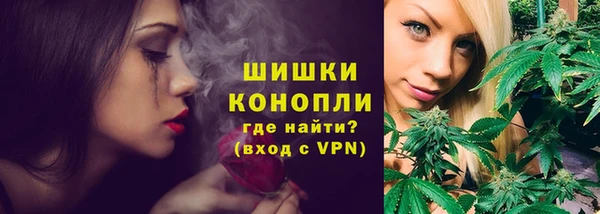 сатива Арсеньев