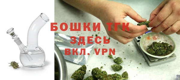 сатива Арсеньев