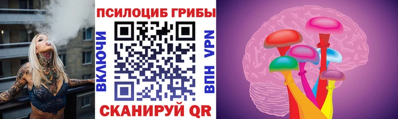 купить наркоту  Можга  Псилоцибиновые грибы Psilocybine cubensis 