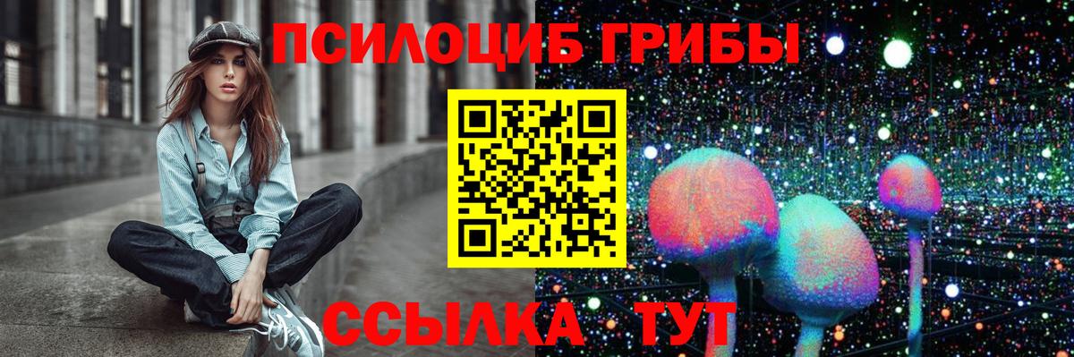 Псилоцибиновые грибы Psilocybine cubensis  Псилоцибиновые грибы мицелий  Вход с VPN  Можга 