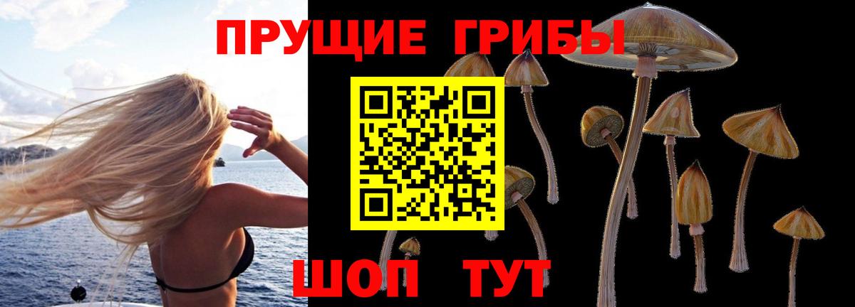Галлюциногенные грибы Psilocybe Можга